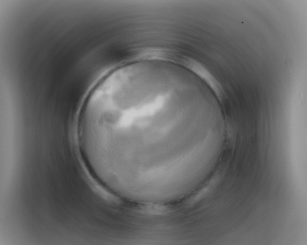 X0000114671090200910211145