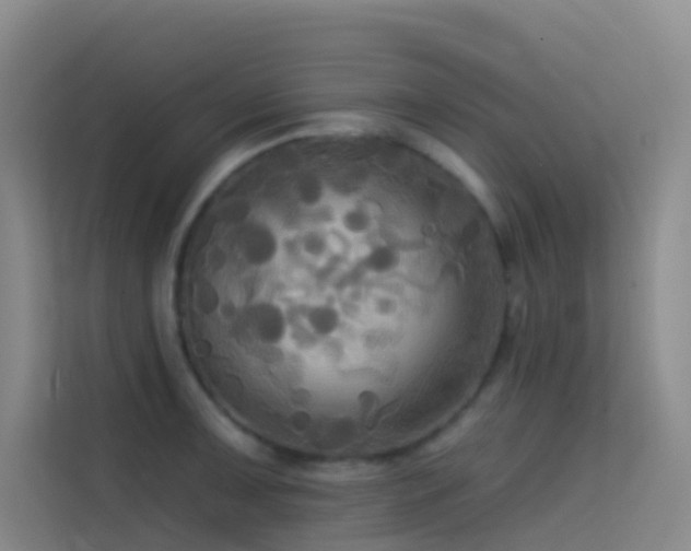 X0000114671091200910211145