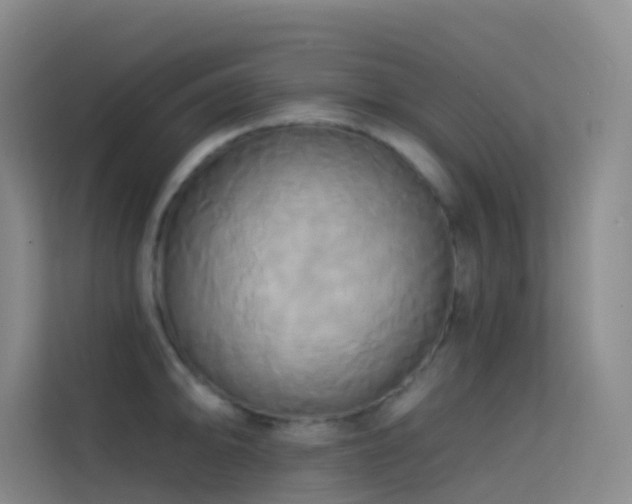 X0000114671094200910211145