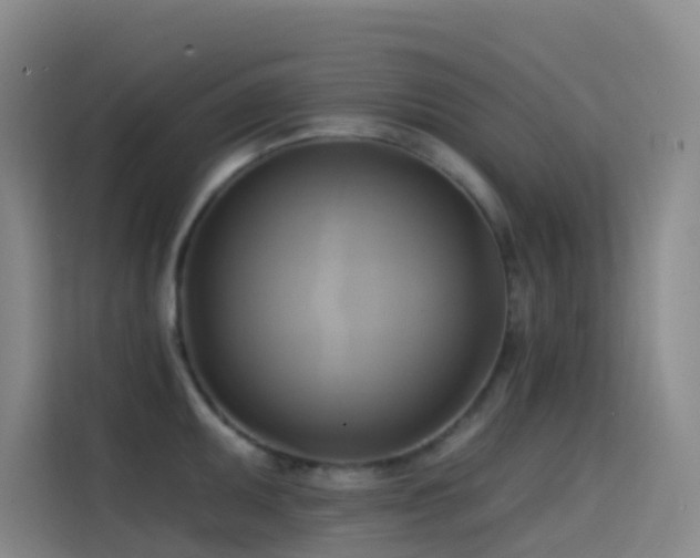 X0000114671095200910211145