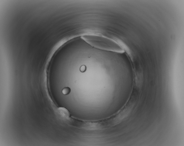 X0000114671096200910211145