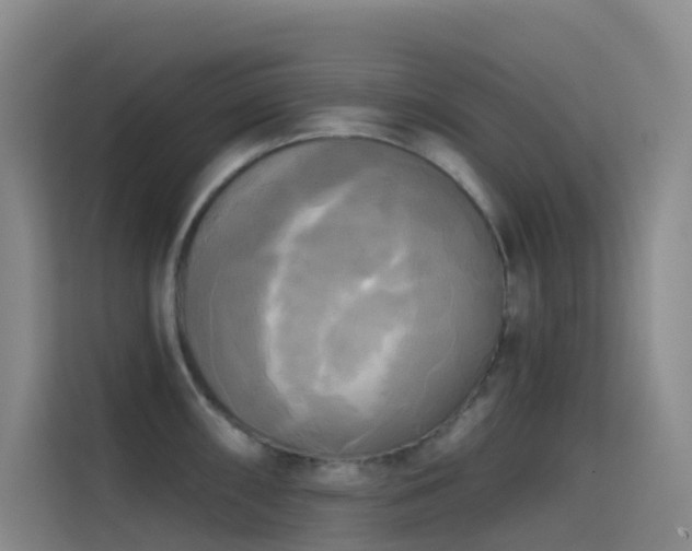 X0000114671098200910211145
