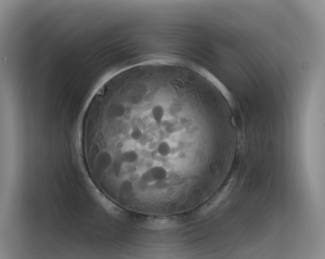 X0000114671099200910211145