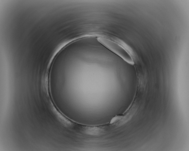 X0000114671100200910211145