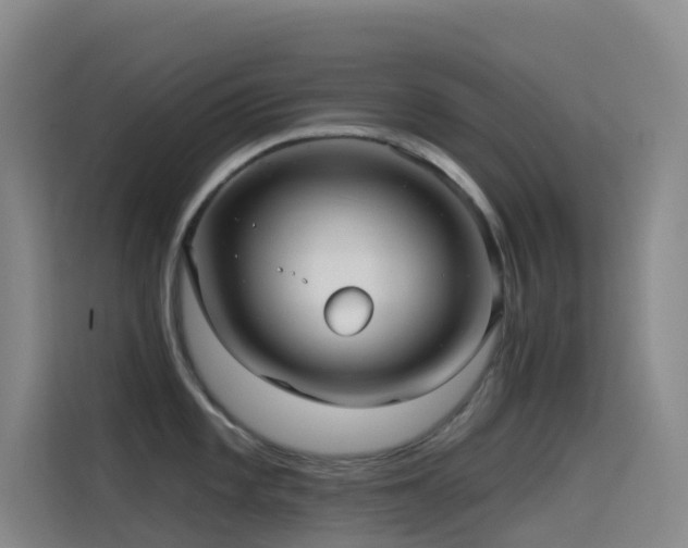 X0000114671101200910211145