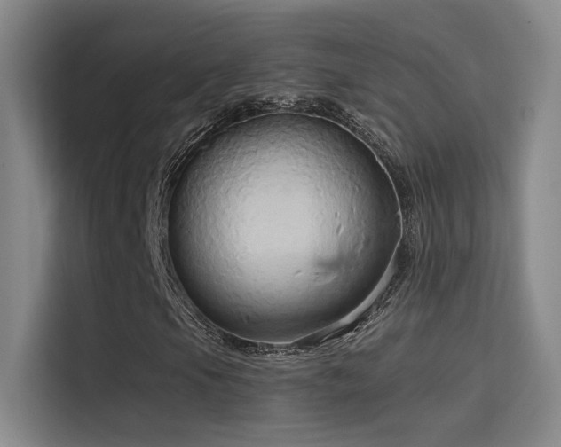 X0000114671105200910211144
