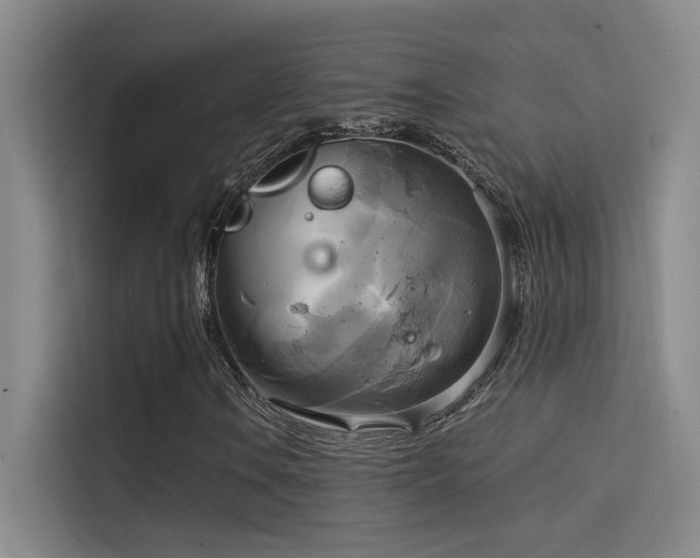 X0000114671106200910211144