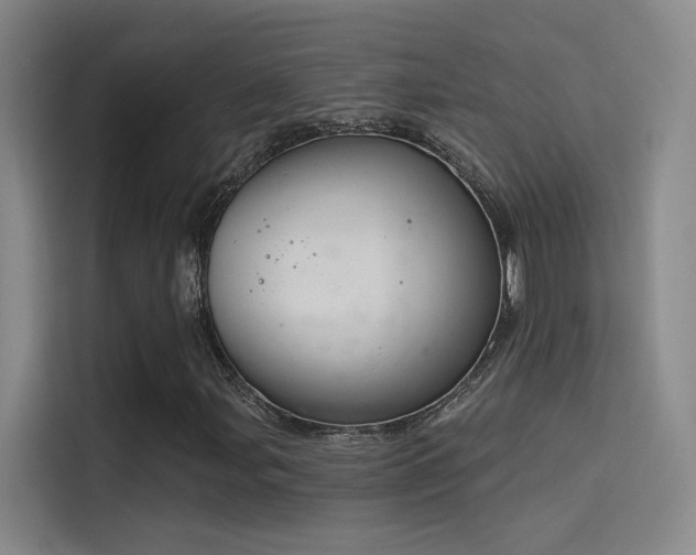 X0000114671107200910211144