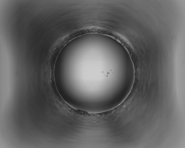 X0000114671111200910211145