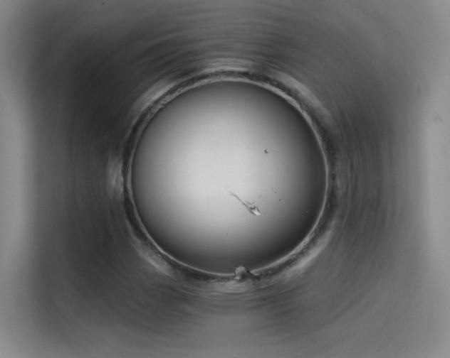X0000114671113200910211145