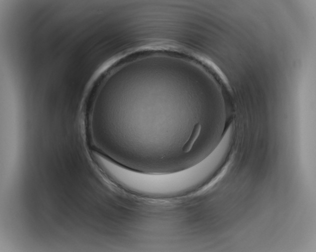 X0000114671114200910211145