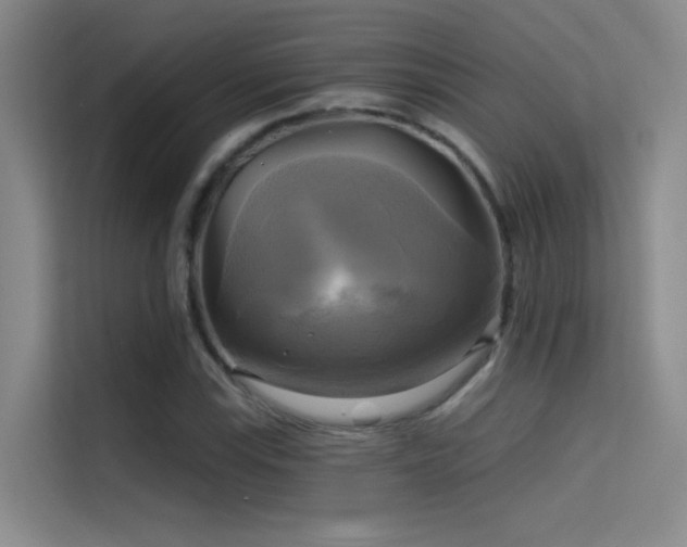 X0000114671115200910211145