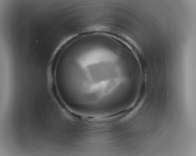 X0000114671117200910211145