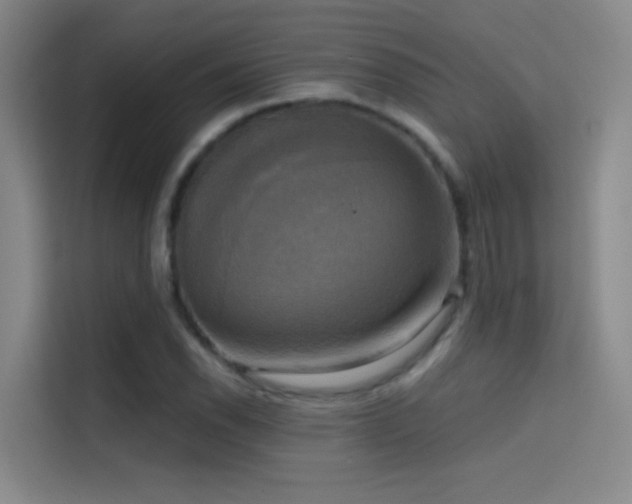 X0000114671118200910211145