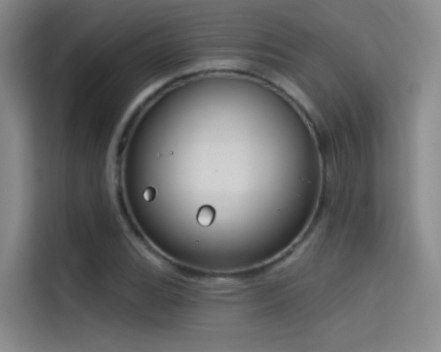 X0000114671119200910211145