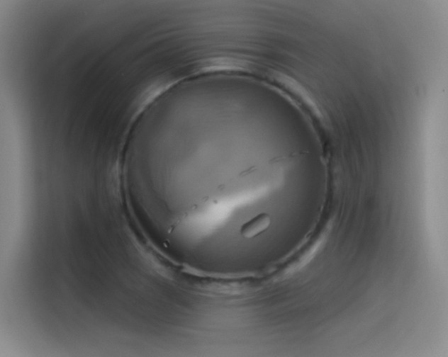 X0000114671121200910211145
