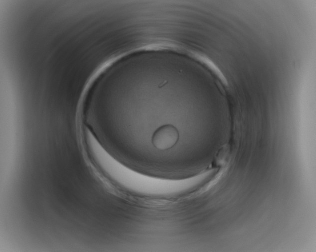 X0000114671122200910211145