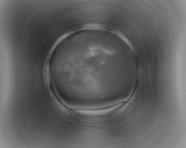 X0000114671123200910211145