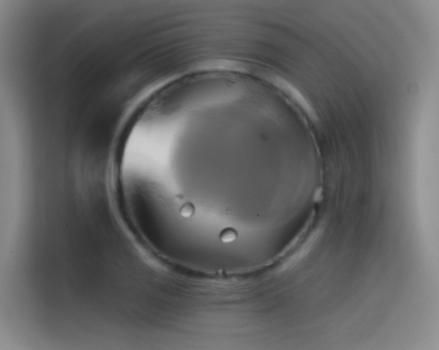 X0000114671125200910211145