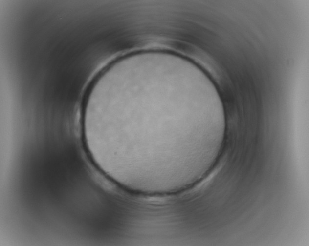 X0000114671126200910211145