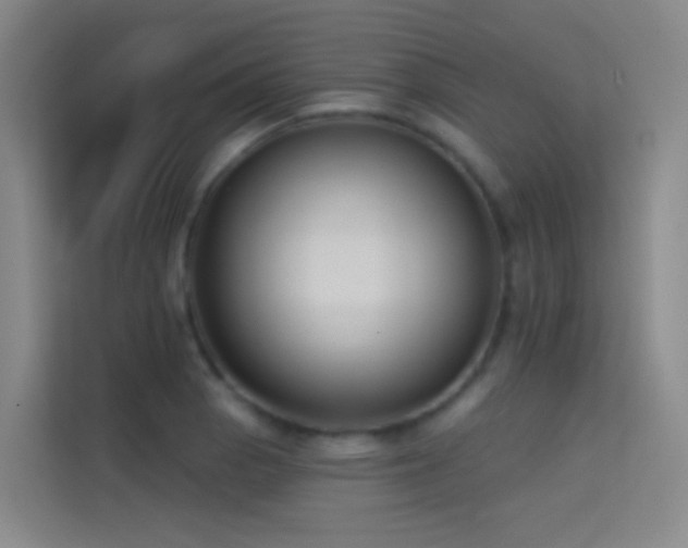 X0000114671129200910211145