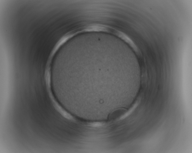 X0000114671130200910211145