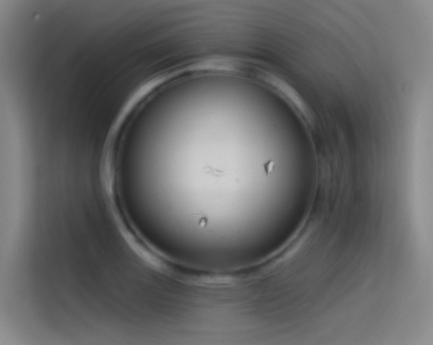 X0000114671131200910211145