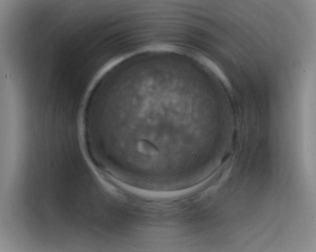X0000114671133200910211145