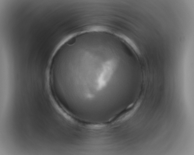 X0000114671134200910211145