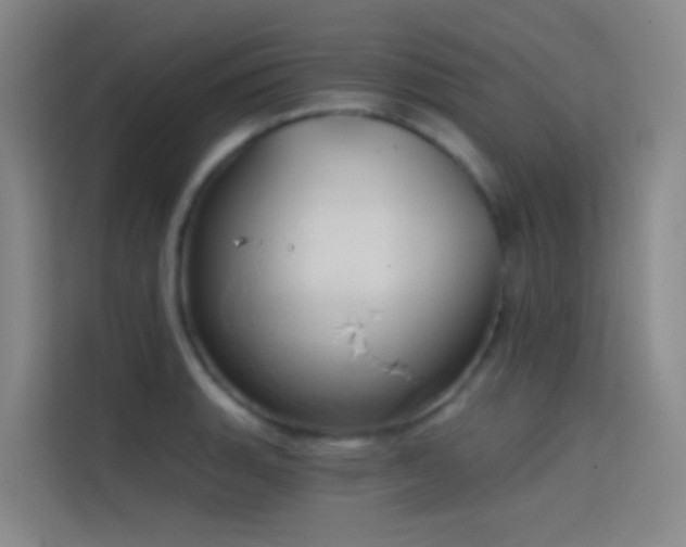 X0000114671135200910211145