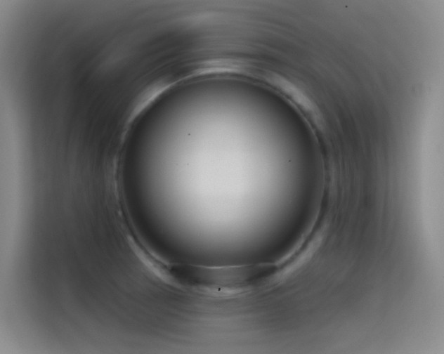 X0000114671137200910211145