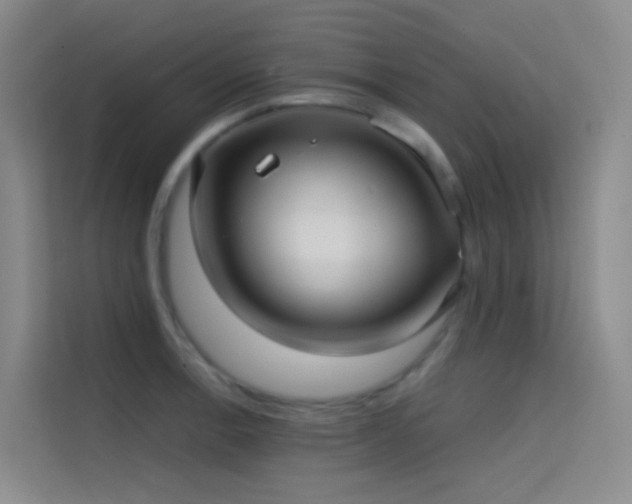 X0000114671138200910211145