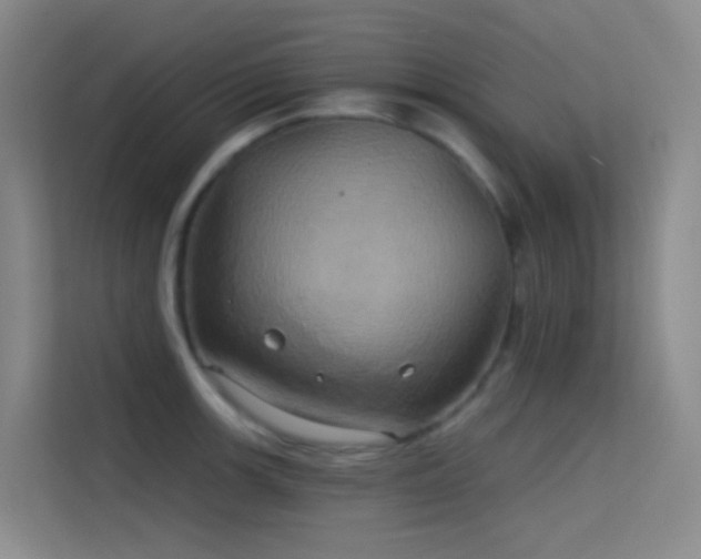 X0000114671139200910211145
