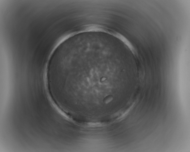 X0000114671142200910211145