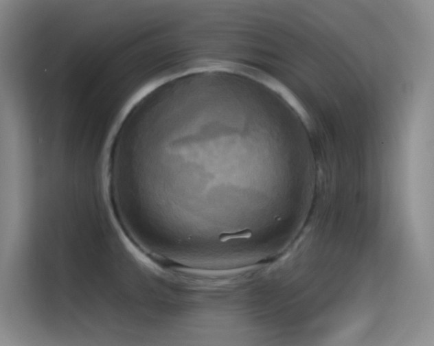 X0000114671143200910211145