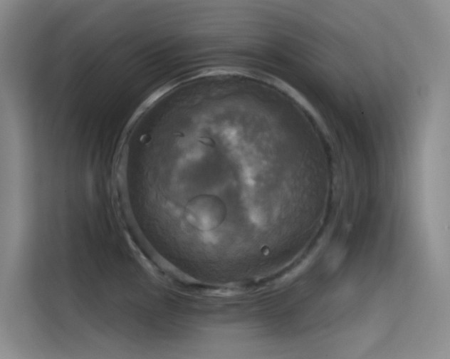 X0000114671145200910211145