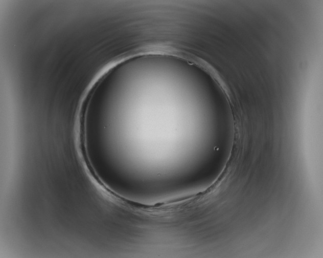 X0000114671147200910211145