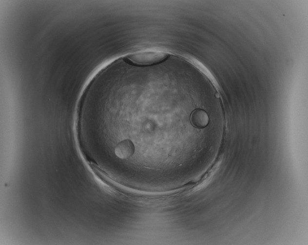 X0000114671149200910211145
