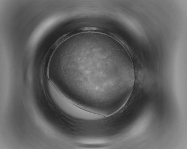 X0000114671151200910211145