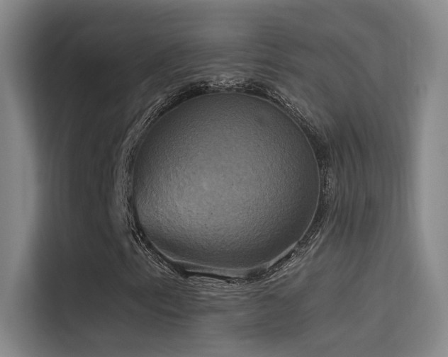 X0000114671153200910211144