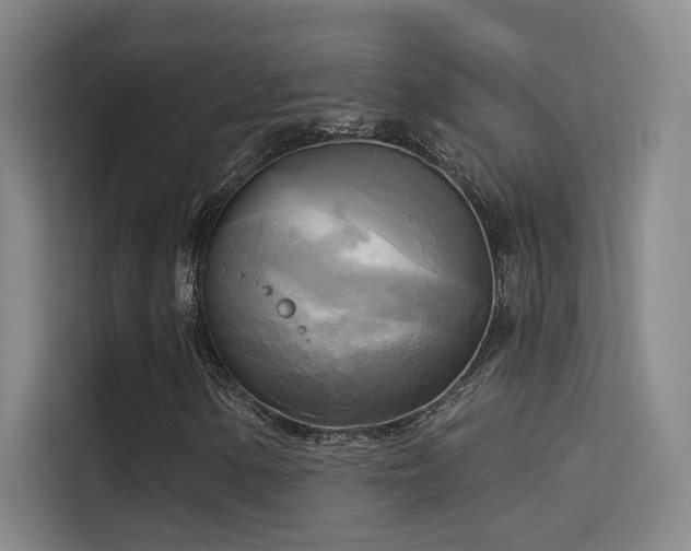X0000114671154200910211144