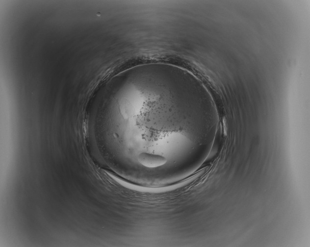 X0000114671155200910211144