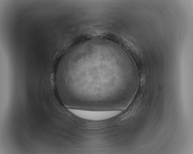 X0000114671156200910211144