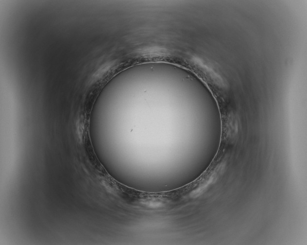 X0000114671157200910211144