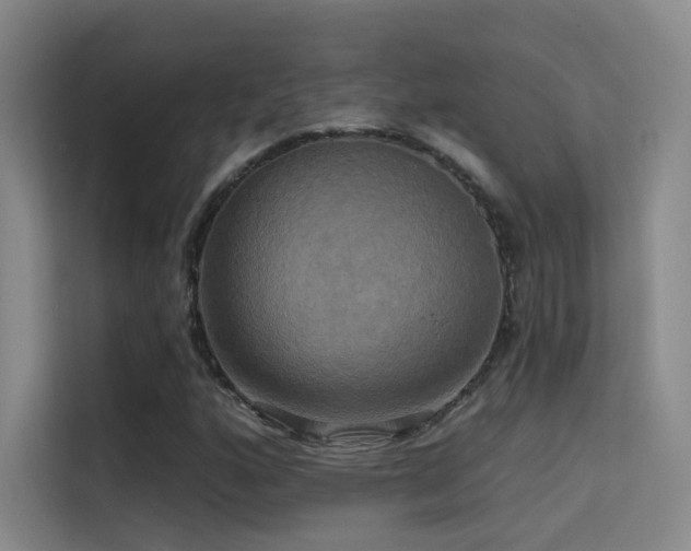 X0000114671160200910211144