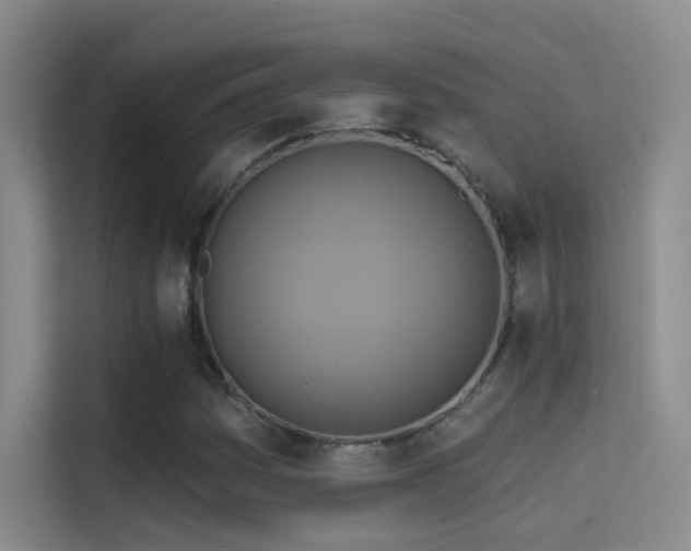 X0000114671161200910211144