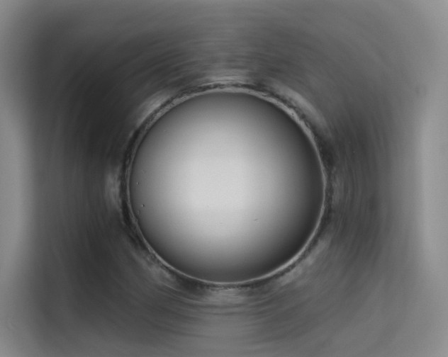 X0000114671162200910211144