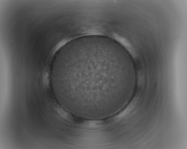 X0000114671163200910211144