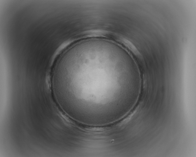 X0000114671164200910211144