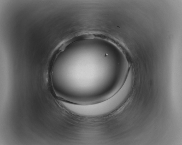 X0000114671165200910211144